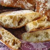 Ciabatta recipe photo