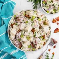 Potato Salad recipe photo